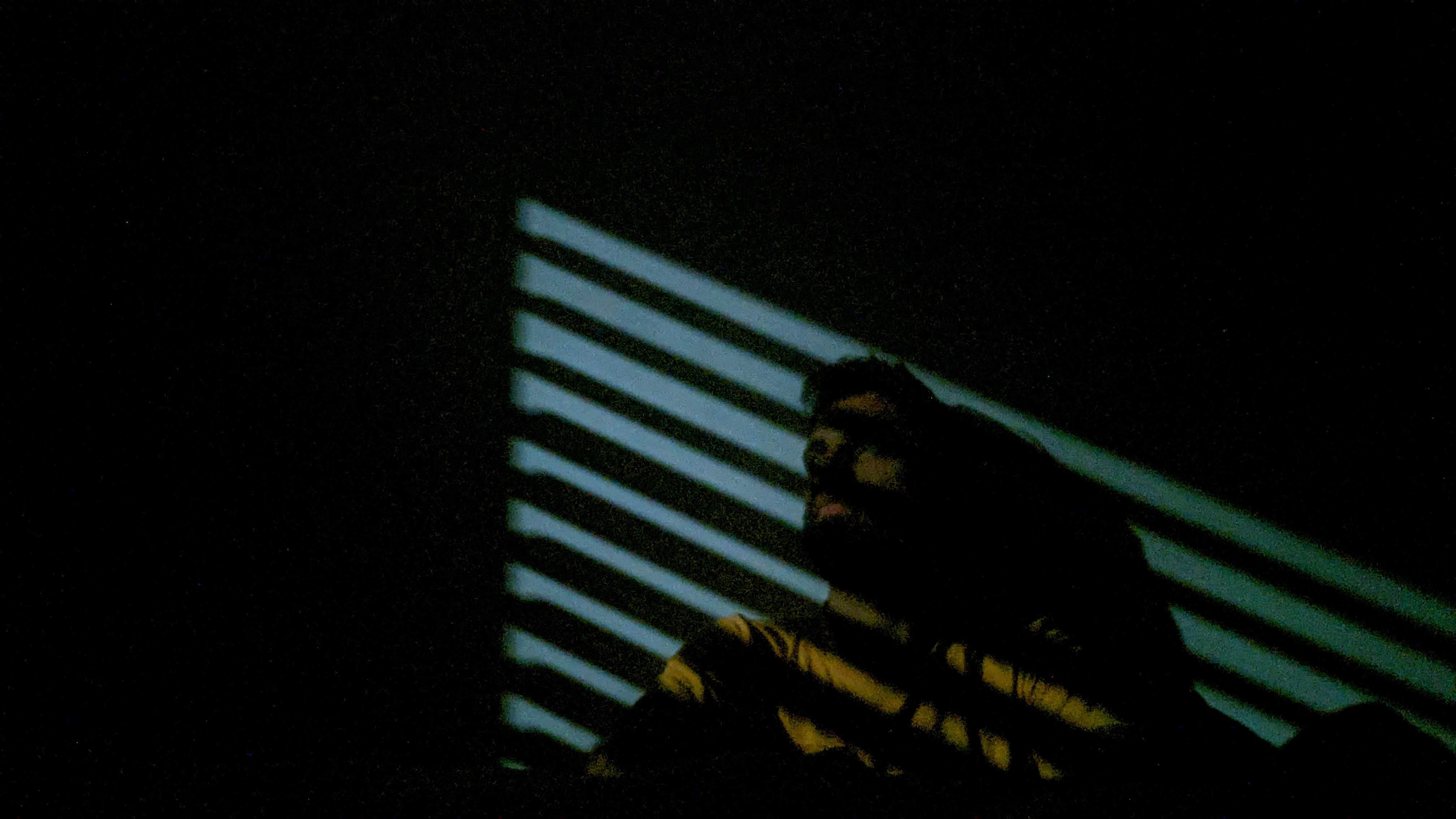 A Museum of Extremely Ordinary Things